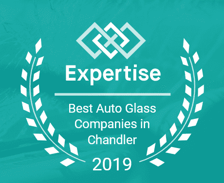 prolite expertise 2019